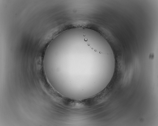 X0000112840498200908211244