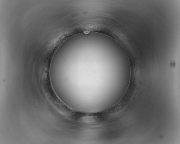 X0000112840499200908211244