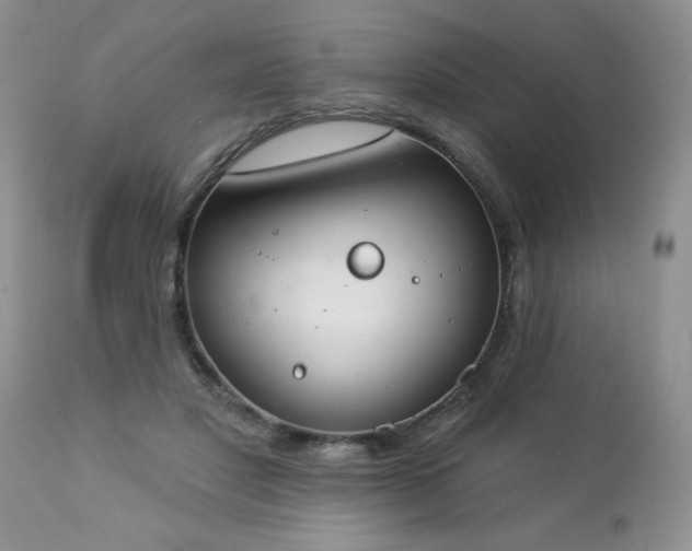 X0000112840501200908211244