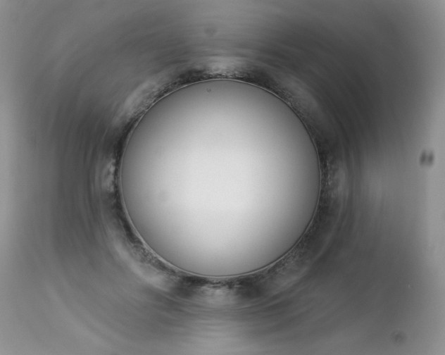 X0000112840502200908211244