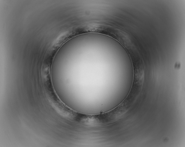 X0000112840503200908211244