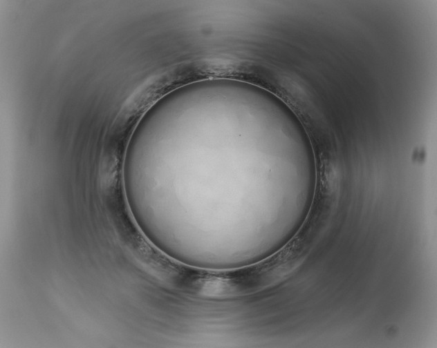 X0000112840507200908211244