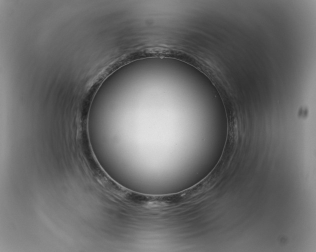 X0000112840508200908211244