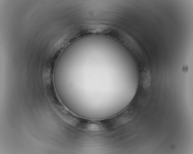 X0000112840510200908211244