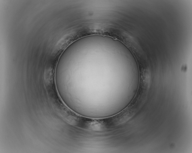 X0000112840511200908211244