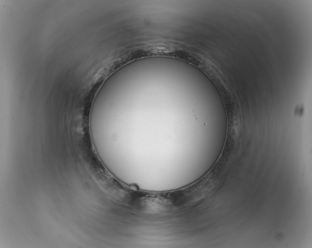 X0000112840512200908211244