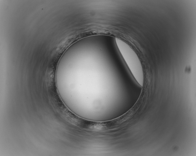 X0000112840513200908211244