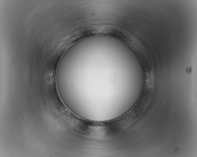 X0000112840514200908211244