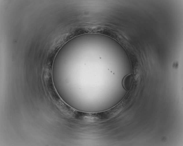 X0000112840515200908211244