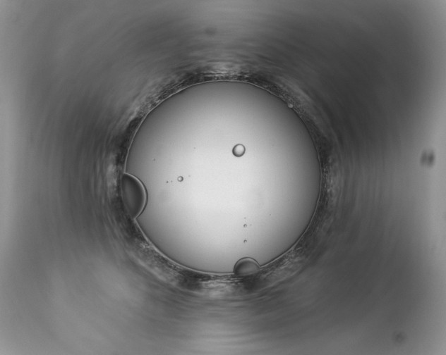 X0000112840516200908211244