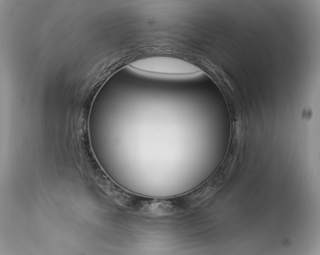 X0000112840517200908211244