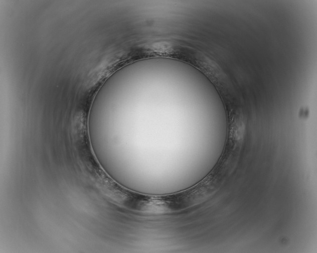 X0000112840518200908211244