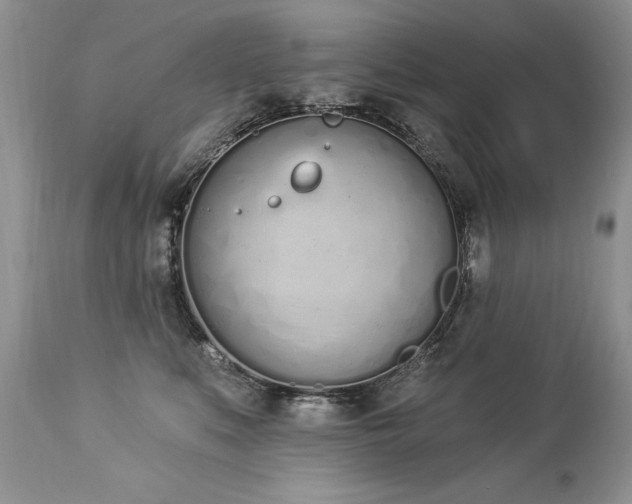 X0000112840519200908211244