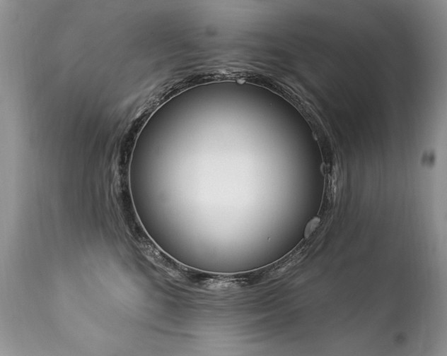 X0000112840520200908211244