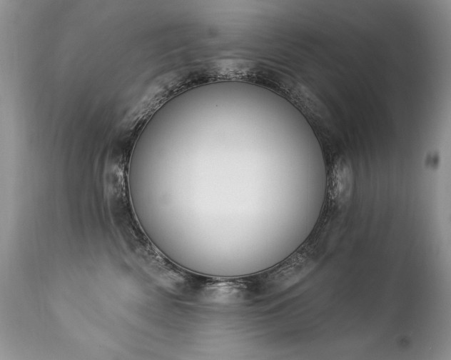 X0000112840522200908211244