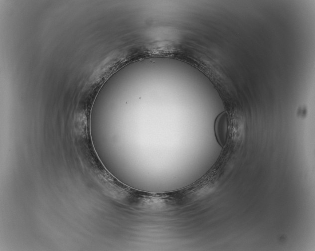 X0000112840523200908211244