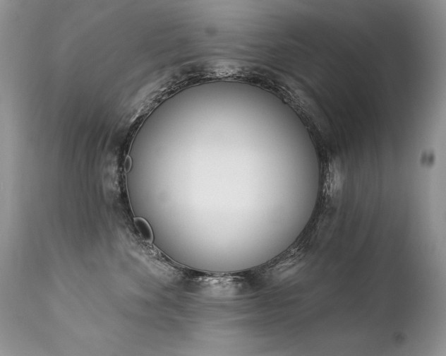 X0000112840524200908211244