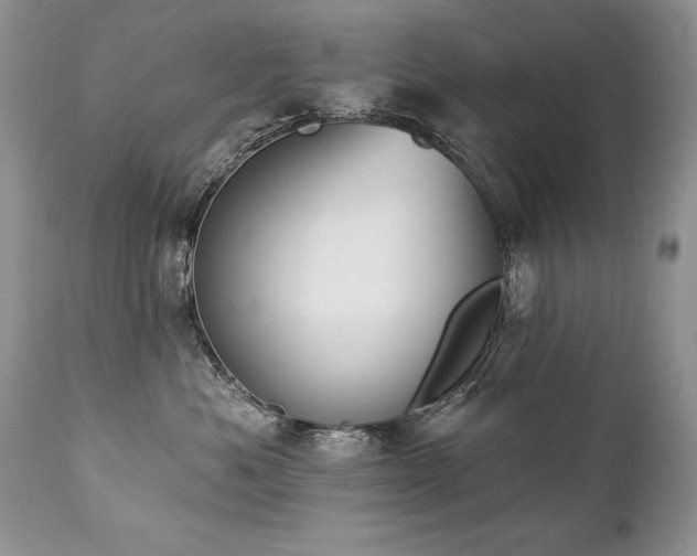 X0000112840525200908211244