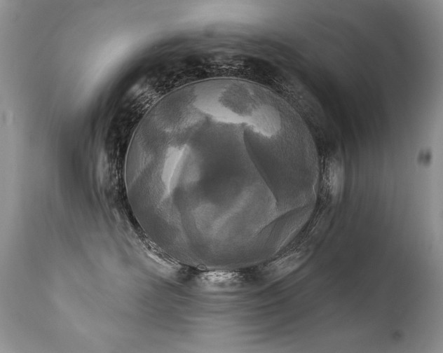 X0000112840526200908211244