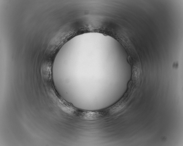 X0000112840527200908211244