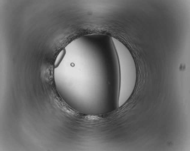 X0000112840528200908211244