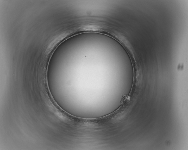 X0000112840529200908211243