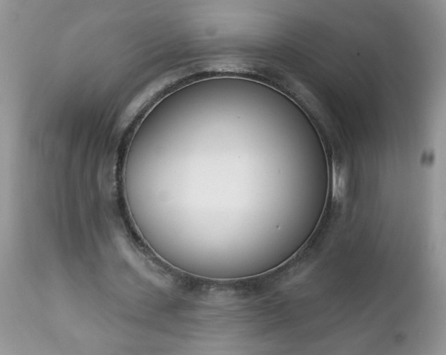 X0000112840531200908211243