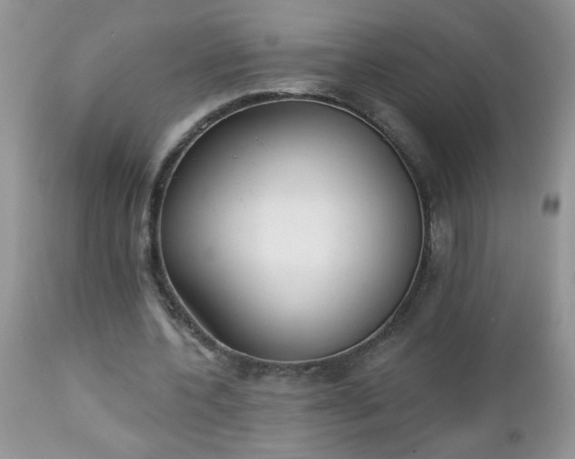 X0000112840532200908211243