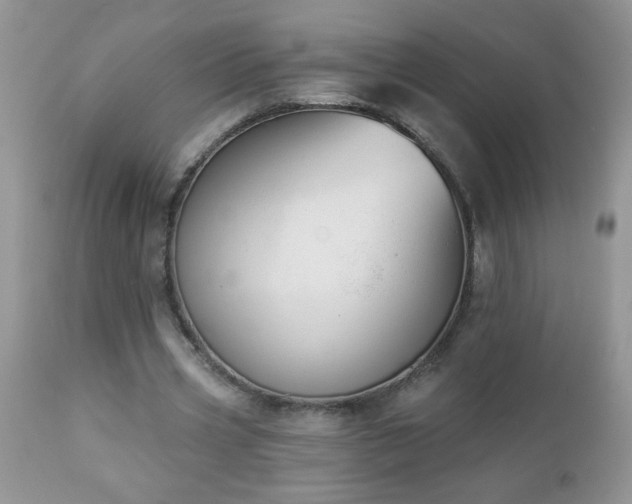 X0000112840533200908211243