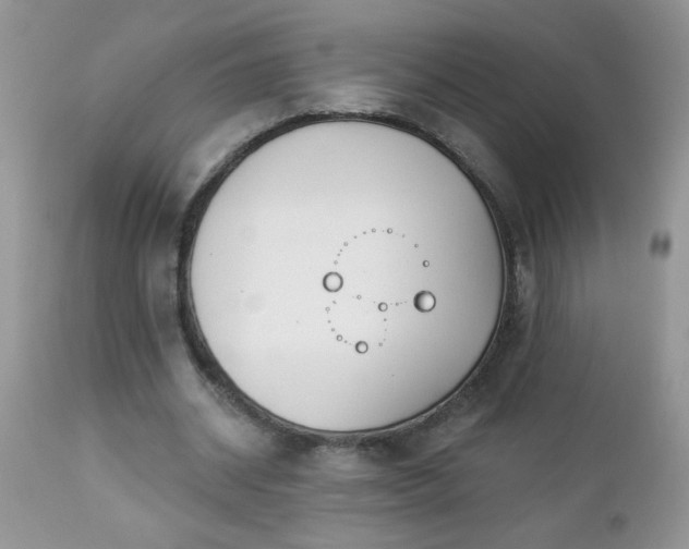 X0000112840534200908211243