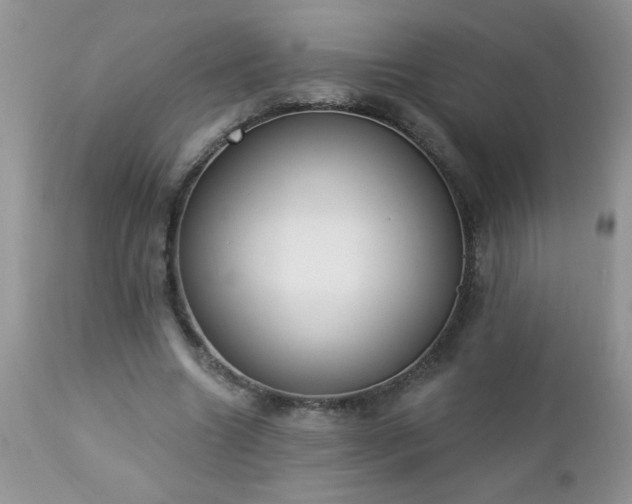 X0000112840538200908211243