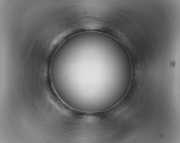 X0000112840539200908211243