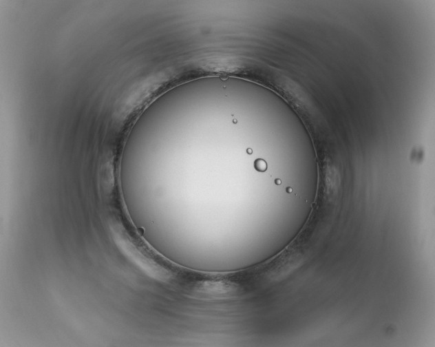 X0000112840541200908211243