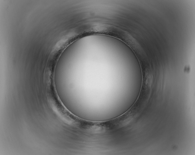 X0000112840542200908211243