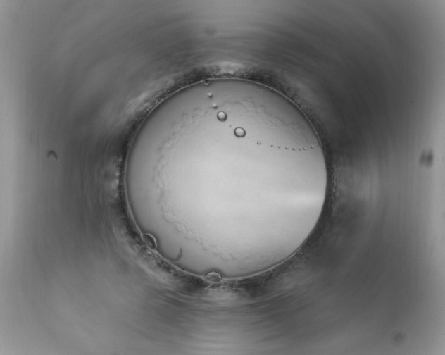 X0000112840545200908211243