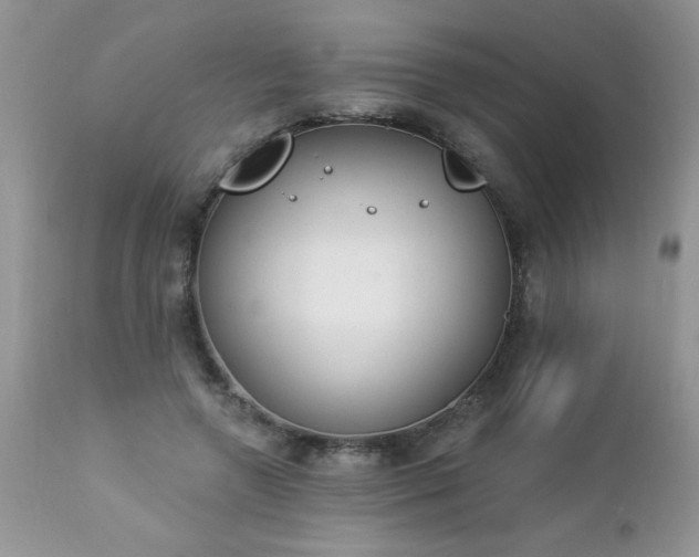 X0000112840546200908211243