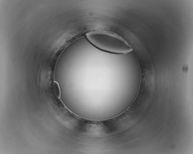 X0000112840548200908211243