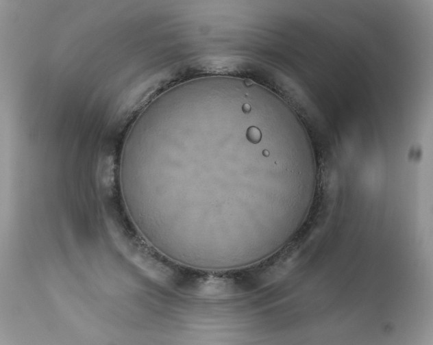 X0000112840549200908211243