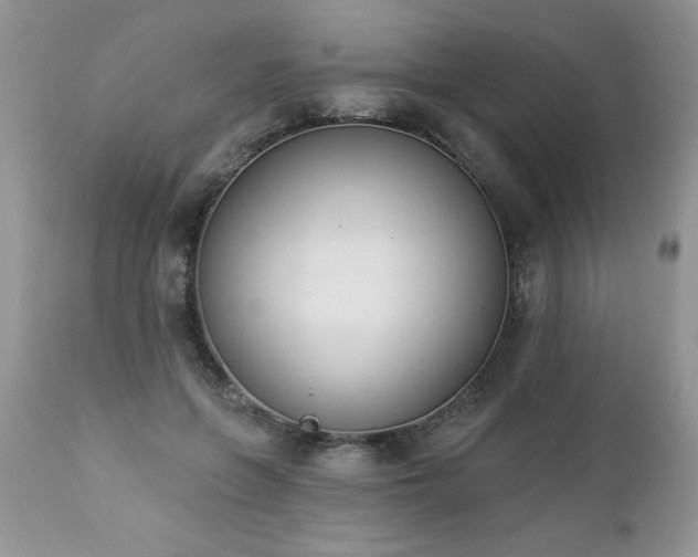 X0000112840551200908211243