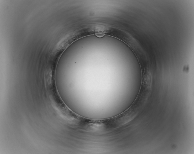 X0000112840552200908211243