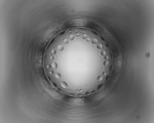 X0000112840553200908211243