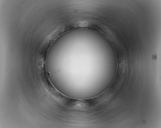 X0000112840555200908211243