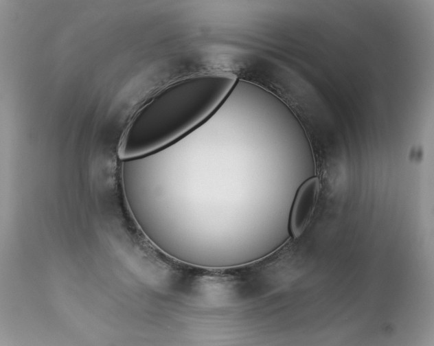 X0000112840556200908211243