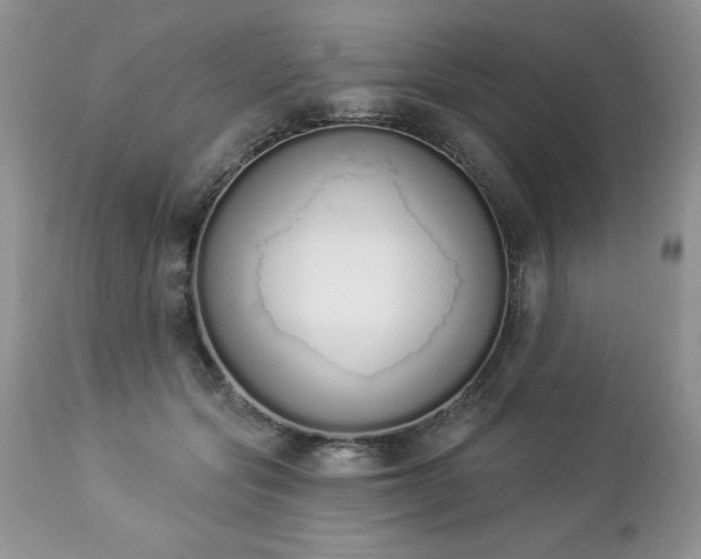 X0000112840557200908211243