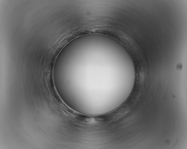 X0000112840558200908211243