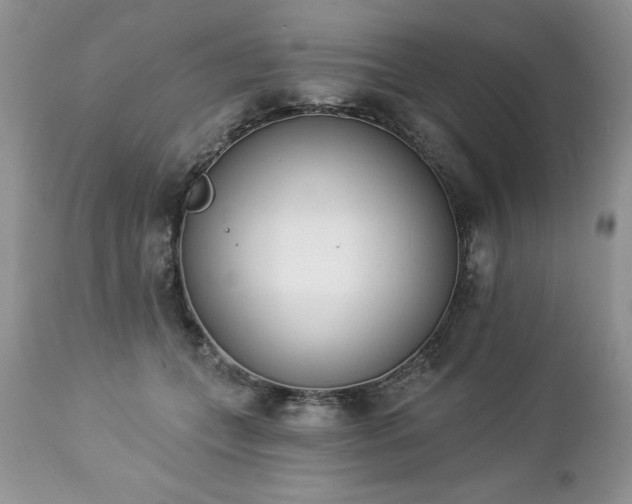 X0000112840559200908211244