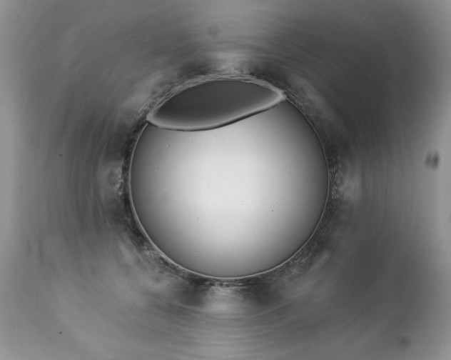 X0000112840560200908211244