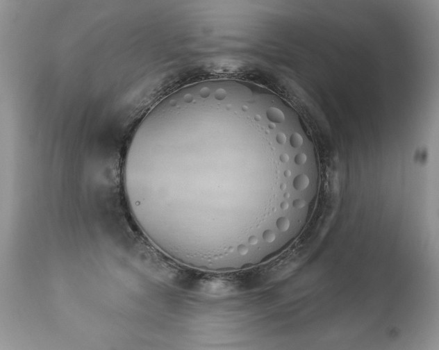 X0000112840561200908211244