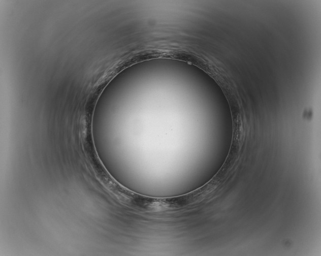 X0000112840562200908211244