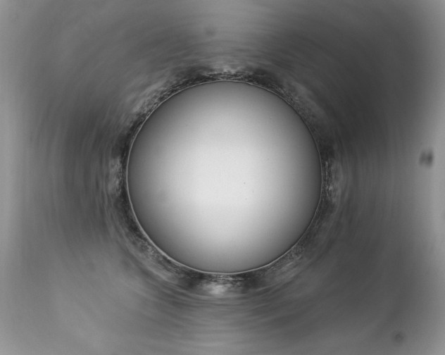 X0000112840563200908211244